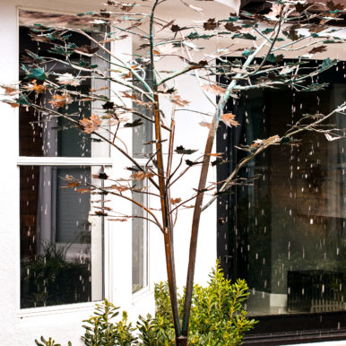Rain tree