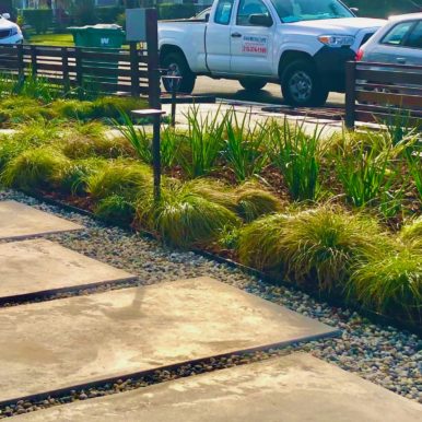 landscaping path lighting